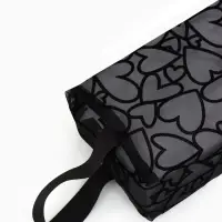 Косметичка дор Сердца 21*9,5*13, отд на молнии, черный