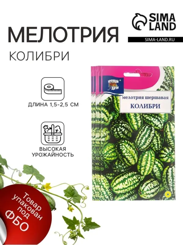 Набор семян Мелотрия шершавая &laquo;Колибри&raquo;, 5 шт.