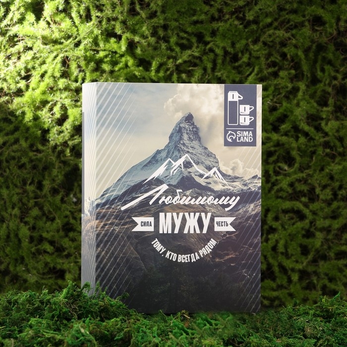 Набор посуды для пикника «Любимому мужу», термос 500 мл, кружка 2 шт Набор посуды для пикника «Любимому мужу», термос 500 мл, кружка 2 шт