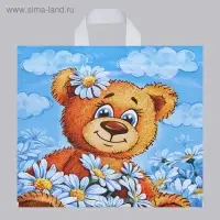 Пакет «Тоша», полиэтиленовый с петлевой ручкой, 40×42 см, 45 мкм