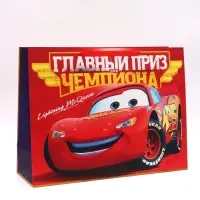 Пакет подарочный &laquo;Главный приз чемпиона&raquo;, 61&times;46&times;20 см