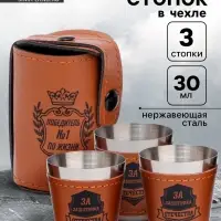 Стопки в чехле &laquo;Победитель №1 по жизни&raquo;: нержавеющая сталь, набор 3 шт. &times; 30 мл