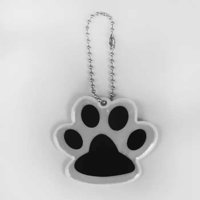 Светоотражающий элемент «Лапка», двусторонний, 5,5 × 4,8 см, цвет белый Светоотражающий элемент «Лапка», двусторонний, 5,5 × 4,8 см, цвет белый