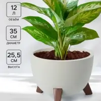 Кашпо для цветов на ножках &laquo;Флориан&raquo;, 12 л (11 л), d=35 см, h=25.5 см, со вставкой, белый ротанг