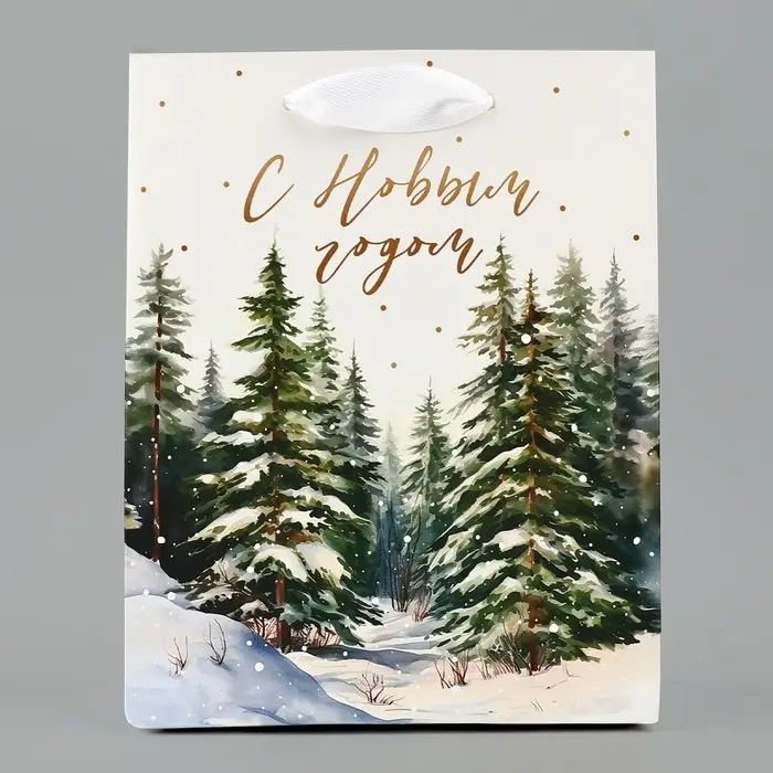 Пакет подарочный новогодний ламинированный «Зимний лес», S 12 х 15 х 5.5 см Пакет подарочный новогодний ламинированный «Зимний лес», S 12 х 15 х 5.5 см