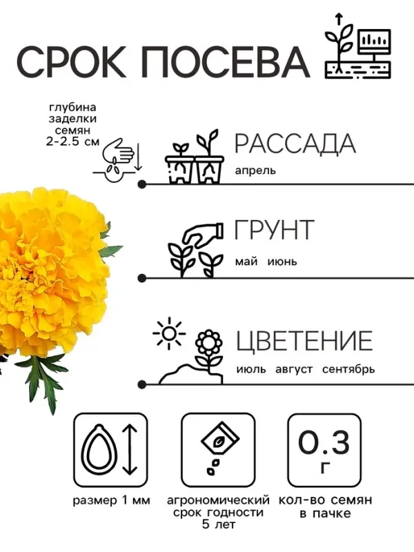 Семена цветов Бархатцы прямостоячие  Семена цветов Бархатцы прямостоячие "Лимонное чудо", 0,3 г