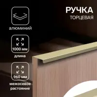 Ручка профильная мебельная торцевая CAPPIO RT001AU, L=1000 мм, м/о 960 мм, сатиновое золото, 4 шт.