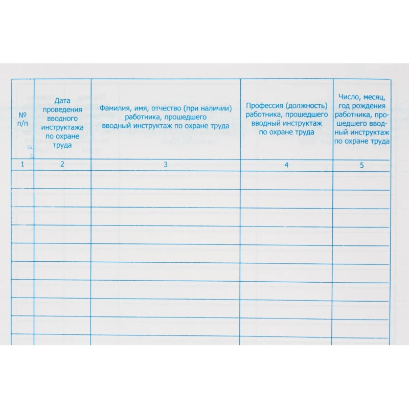Журнал регистрации вводного инструктажа по охране труда, бумвинил,96л,офсет