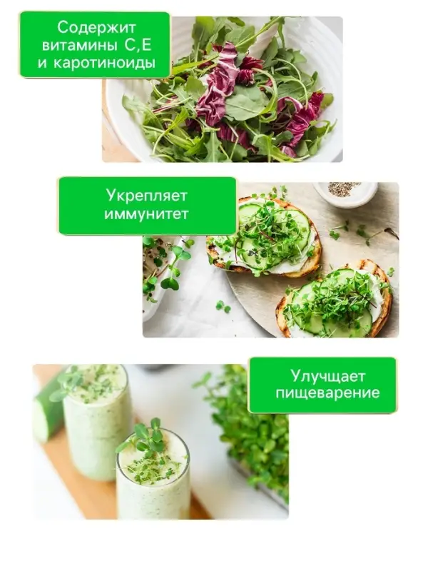 Семена Кресс-салат  Семена Кресс-салат "Весенний", 1 г