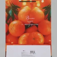 Пакет подарочный &laquo;Время чудес и мандаринок&raquo;, 33&times;10&times;42.5 см