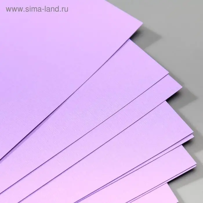 Бумага для скрапбукинга Mr.Painter Бумага для скрапбукинга Mr.Painter "Душистая сирень" 30,5х30,5 см 216гр/м2