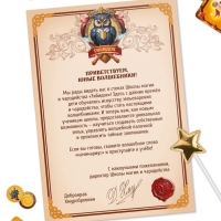 Настольная игра «Школа юного волшебника», развивающая, 29 карт, 4+