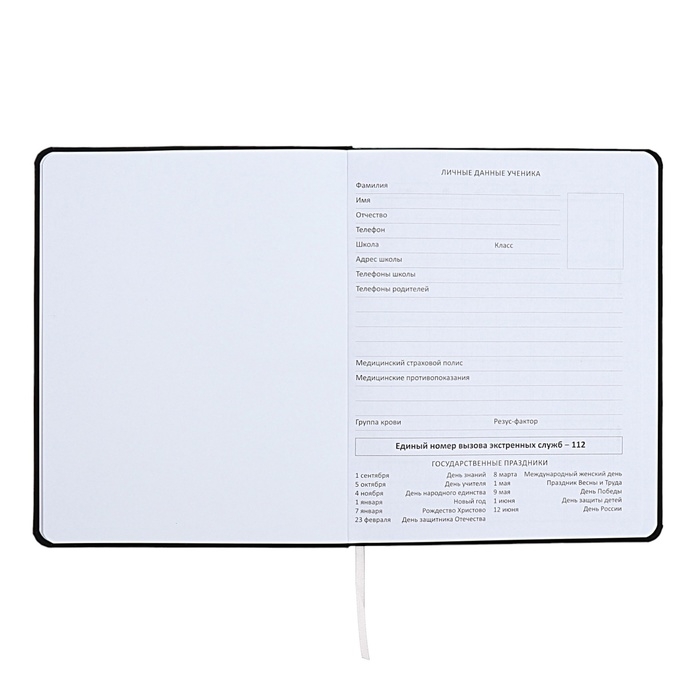 Дневник универсальный для 1-11 класса "Как заставить себя?", интегральная обложка, искусственная кожа, шелкография, ляссе, 80 г/м2