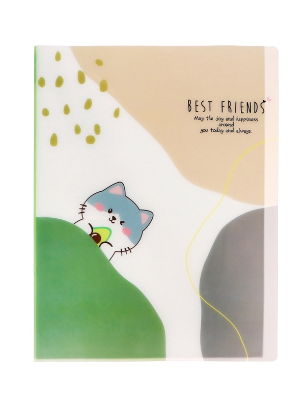 Папка формат А4 с 30 прозрачными файлами МИКС Зверята Папка формат А4 с 30 прозрачными файлами МИКС Зверята