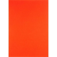 Папка для пастелей А4 8л 4цв Страна чудес.Сон в маковом поле П-1868