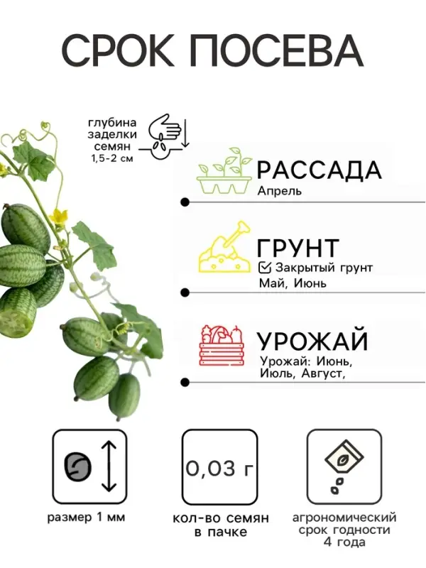 Семена Мелотрия (мышиная дыня) &laquo;Полосатик&raquo;, 0.03 г, &laquo;Аэлита&raquo;