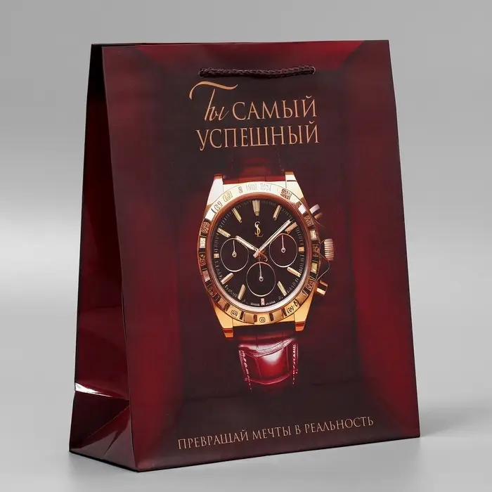 Пакет подарочный ламинированный, упаковка, «Успех», ML, 25 х 21 х 8 см Пакет подарочный ламинированный, упаковка, «Успех», ML, 25 х 21 х 8 см