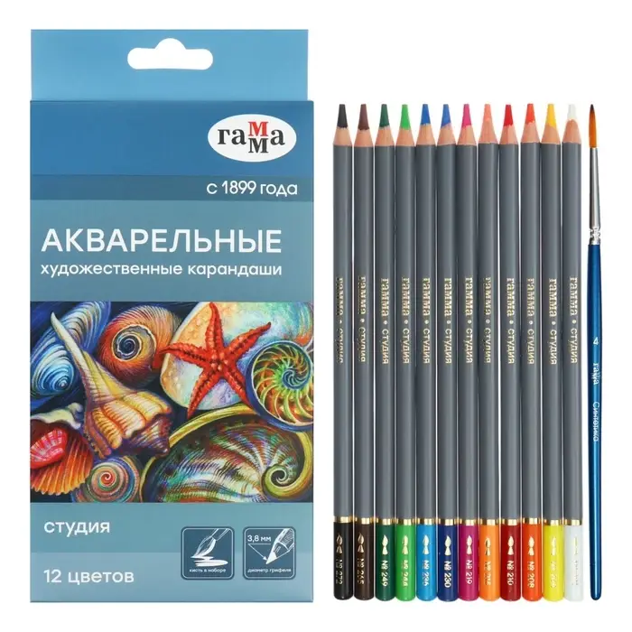 Карандаши цветные акварельные &laquo;Гамма. Студия&raquo; 12 цветов, грифель 3.8 мм, картонная коробка