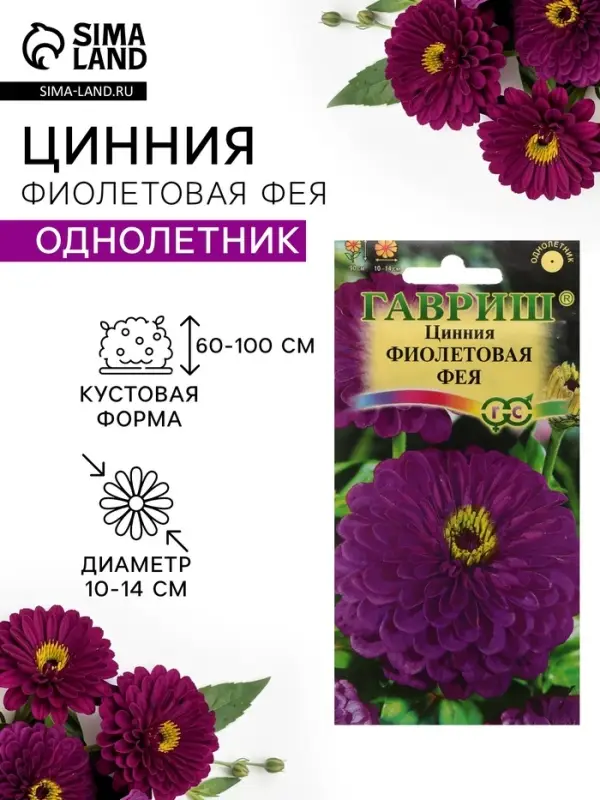 Семена цветов Цинния "Фиолетовая фея", ц/п,  0,3 г