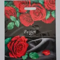 Пакет "Страсть", полиэтиленовый с вырубной ручкой, 38х47 см, 60 мкм 1464585