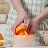 Соковыжималка для цитрусовых Martika &laquo;Мадена&raquo;, 300 мл, пластик, МИКС