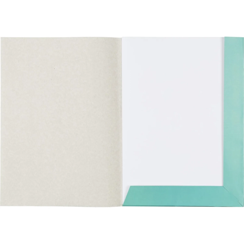 Папка для черчения Комус Класс без рамки 10лист А3 160 г/м2