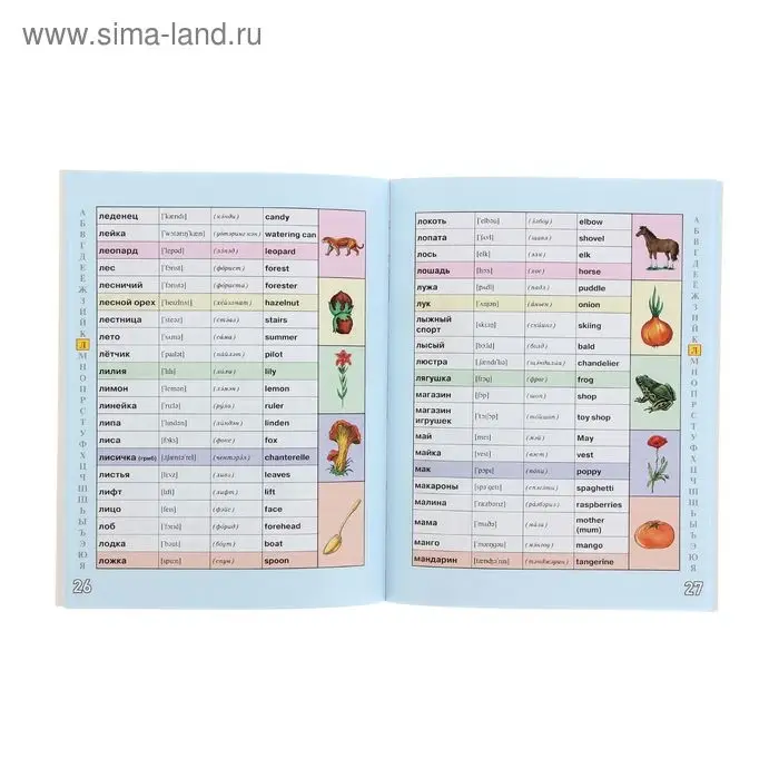 Русско-английский словарик в картинках для начальной школы. Шалаева Г.П. Русско-английский словарик в картинках для начальной школы. Шалаева Г.П.