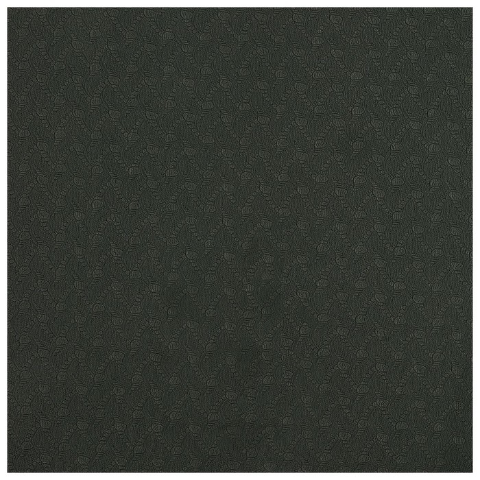 Коврик для йоги Sangh, 183×61×0,8 см, цвет тёмно-зелёный Коврик для йоги Sangh, 183×61×0,8 см, цвет тёмно-зелёный