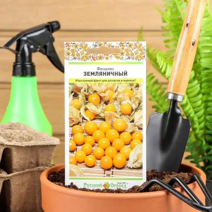 Семена Физалис  Семена Физалис "Земляничный", серия Русский огород, 0,15 г