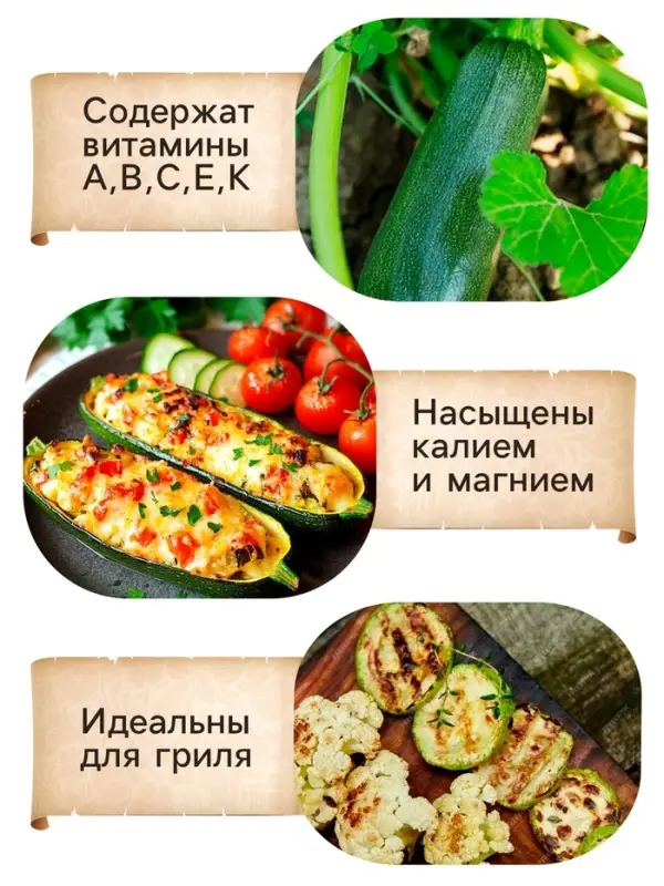 Семена Кабачок  Семена Кабачок "Скворушка", 1 г