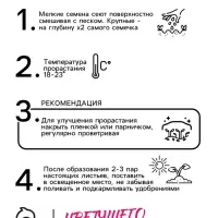 Семена цветов Алиссум "Снежный ковер", 0,05 г