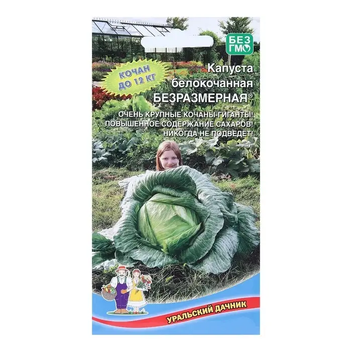 Семена Капуста белокочанная   Семена Капуста белокочанная  "Безразмерная", 0,3 г