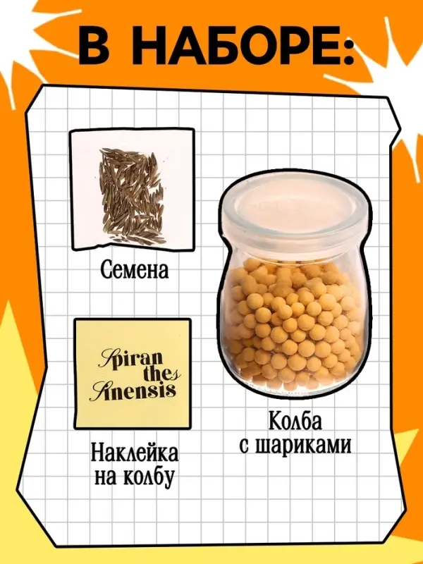 Набор для опытов &laquo;Выращиваем травку&raquo;, своими руками, оранжевый