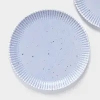 Тарелки Доляна &laquo;Коралл&raquo;, d=25.9 см, набор 2 шт., фарфор, голубые