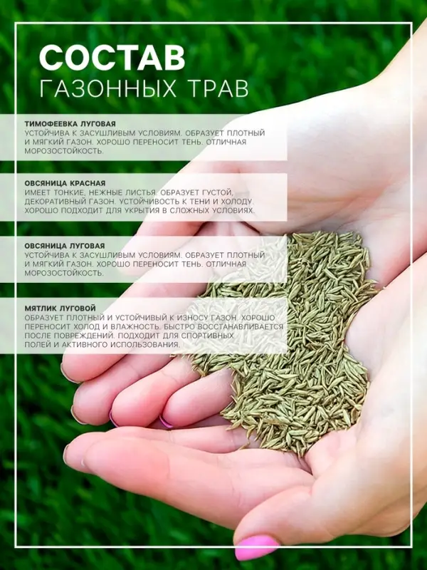 Газонная травосмесь &laquo;Универсальный&raquo; 0.5 кг