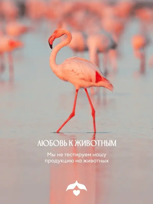 Гель-уход для душа Solzao peach beach, 400 мл