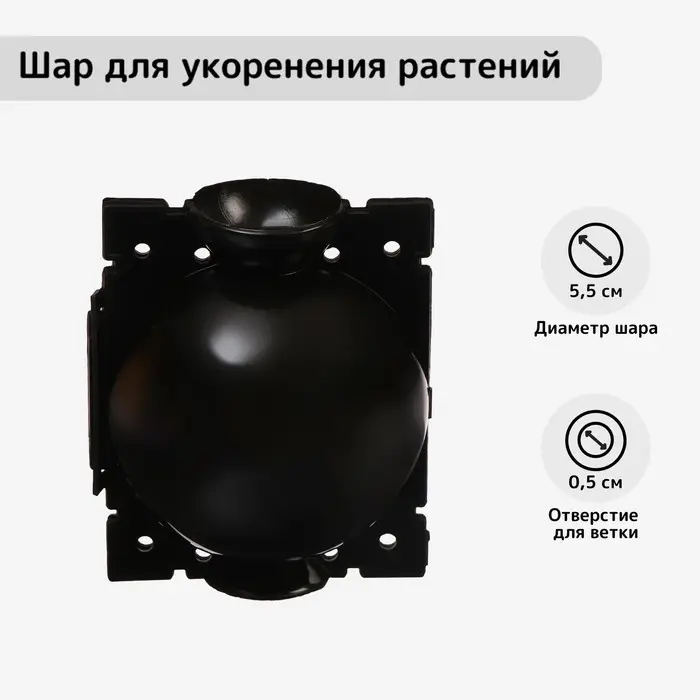 Шар для укоренения растений, d=5.5 см, под ветку 0.5 см, чёрный, Greengo