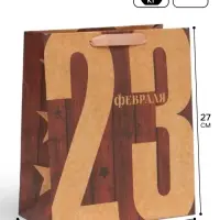 Пакет подарочный крафтовый, упаковка, &laquo;23 Февраля&raquo;, ML 23&times;27&times;8 см