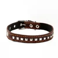 Ошейник украшенный, 45&times;2 см, ОШ 25-35 см, на синтепоне, кожа, коричневый