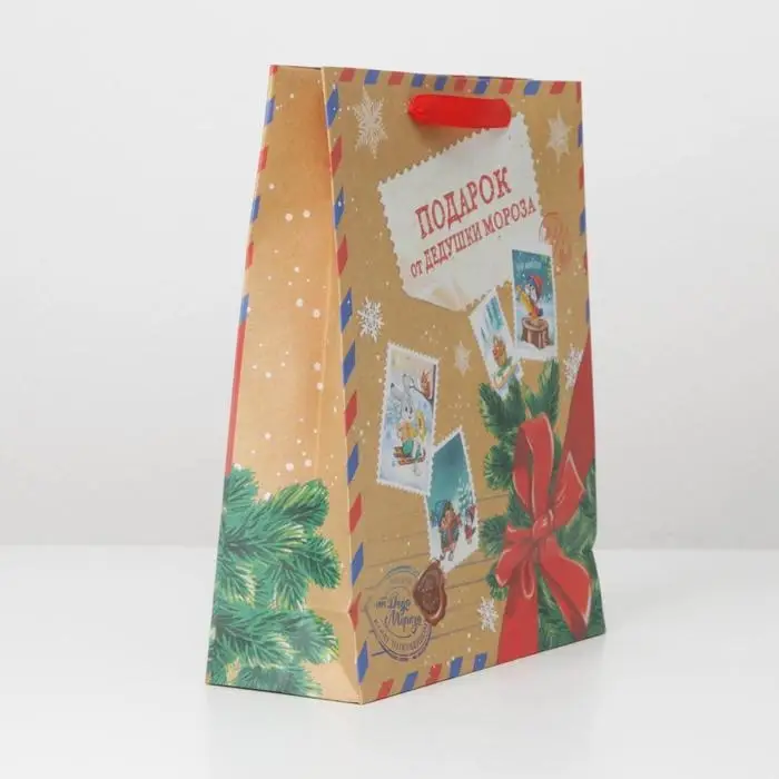 Пакет подарочный новогодний крафтовый «Подарок от Деда мороза», M 26 х 30 х 9 см Пакет подарочный новогодний крафтовый «Подарок от Деда мороза», M 26 х 30 х 9 см