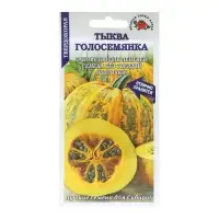 Набор семян Тыква "Голосемянка", среднеранняя, 5 шт. Набор семян Тыква "Голосемянка", среднеранняя, 5 шт.