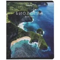 Комплект 12 предметных тетрадей 48 листов, справочная информация, 60гр, Моменты