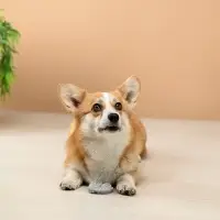 VETTA Игрушка для домашних животных, ТПР, 7,5 см