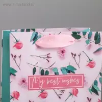 Пакет подарочный ламинированный, упаковка, &laquo;My best wishes&raquo;, S 12 х 15 х 5.5 см
