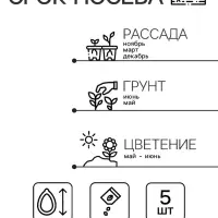 Семена комнатных цветов Герань &laquo;Яблоневый цвет&raquo;, F1, 5 шт., розовая, &laquo;Престиж семена&raquo;