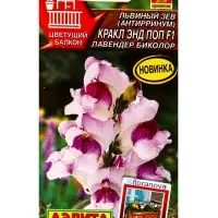 Семена цветов Львиный зев Кракл энд поп F1 лавендер биколор С. Floranova Цветущий балкон, Ц/П,7 шт. Семена цветов Львиный зев Кракл энд поп F1 лавендер биколор С. Floranova Цветущий балкон, Ц/П,7 шт.