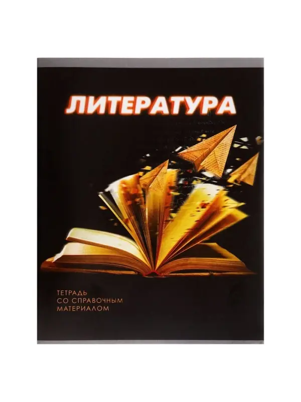 Предметная тетрадь по литературе Calligrata. 3D, 48 листов, в линейку, со справочным материалом, обложка из мелованного картона