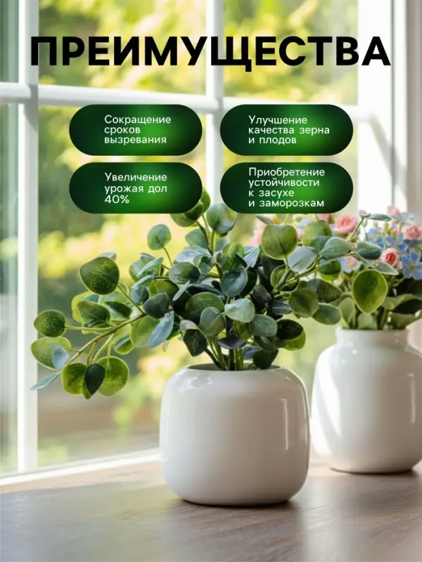 Органическое удобрение для комнатных растений Greenlife, 500 мл