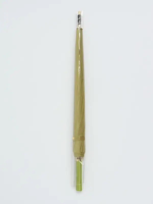 Зонт - трость полуавтоматический &laquo;Однотон&raquo;, 16 спиц, R=51/60 см, d=102 см, светло-зелёный