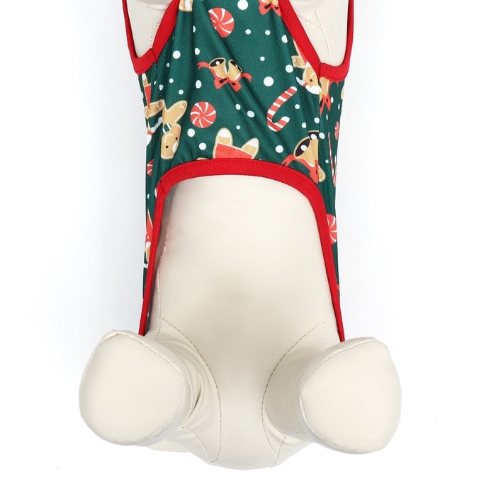 Толстовка  Толстовка "Пряня", размер XS (ДС 20, ОШ 20, ОГ 30 см), зелёная